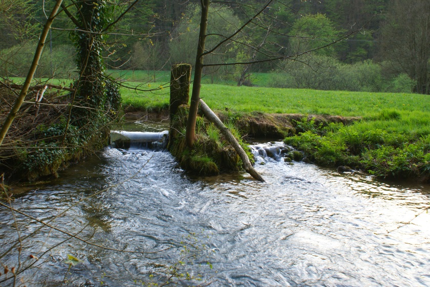 Bachlauf Groenohe 11